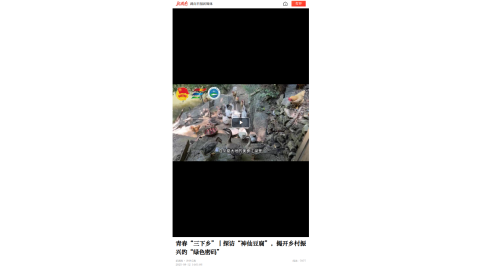 【新湖南】青春“三下乡”丨探访“神仙豆腐”，揭开乡村振兴的“绿色密码”